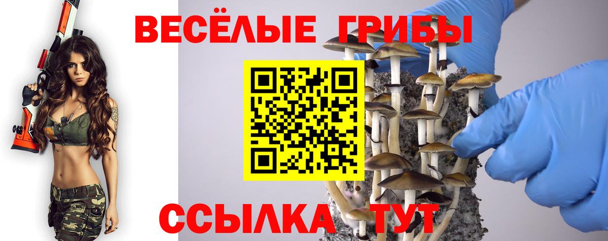 Ростов-на-Дону  Галлюциногенные грибы мицелий  Вход с VPN 